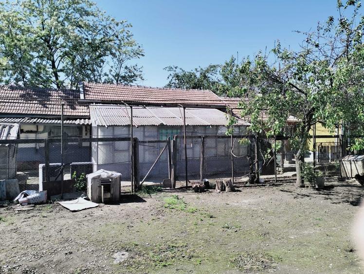 Casă cu 4 camere cu Teren 1850 Mp în Maia