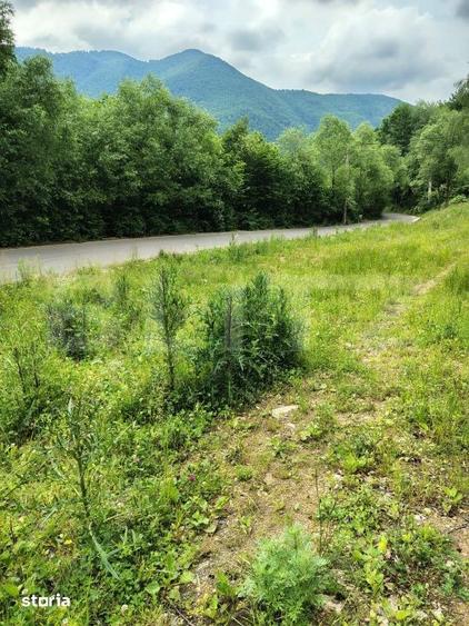 Teren de 1800 mp, în Gilău