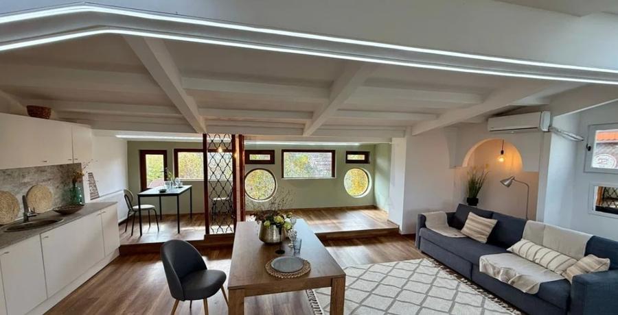 Gradina Zoo, apartamentul la mansarda - 3