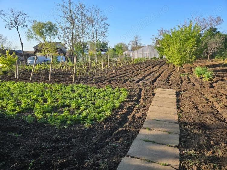 Casă cu Teren 1386 Mp în Cuza Vodă