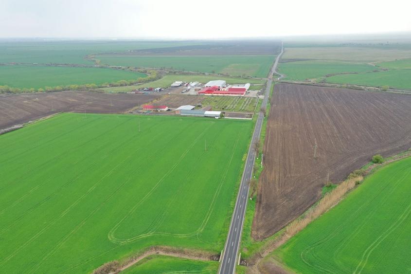 Teren Construcții extravilan de 98000 mp, în Dudeștii Noi