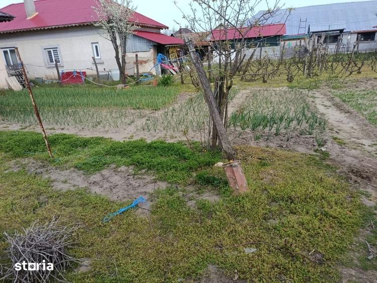 Casă cu 5 camere cu Teren 8481 Mp în Celaru