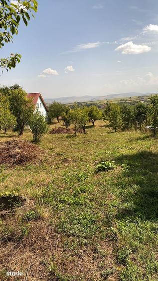 Teren de 2000 mp, în Roșia