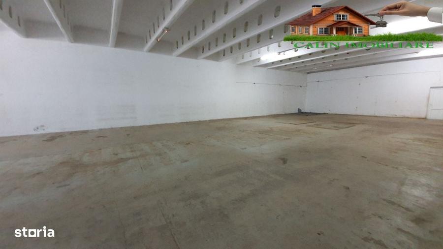 Hala RAMPA Bucium 273 mp Depozitare/Produc?ie/Logistica 5 Euro/mp - 5