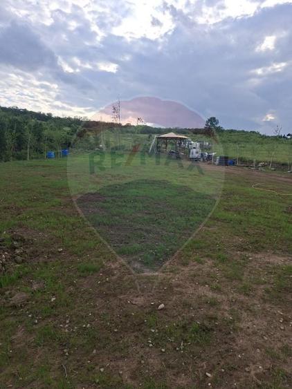 Teren Construcții intravilan de 1200 mp, în Săldăbagiu de Munte