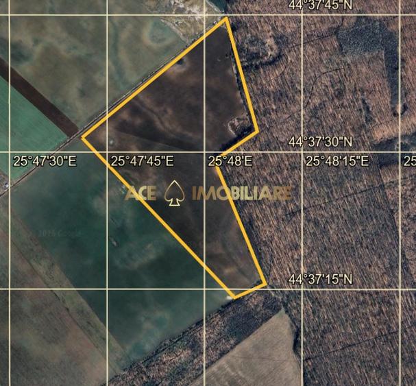 Teren agricol extravilan de 267526 mp, în Tărtășești