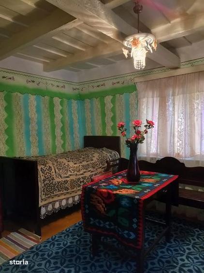 Casa cu pamant de vanzare in Satul Berechiu - 4