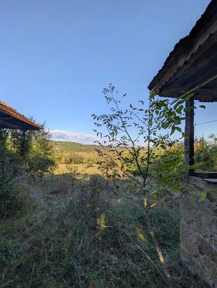 Casa ?araneasca cu livada ?i gradina mare,Vata de jos,Hunedoara - 4