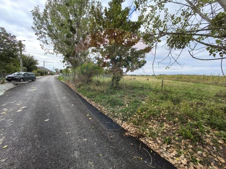 Teren 3,685mp Somcuta Mare / Strada Mocirii - 5