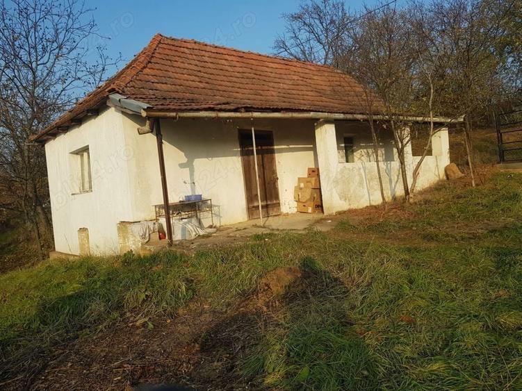 Casa Devanzare - 5