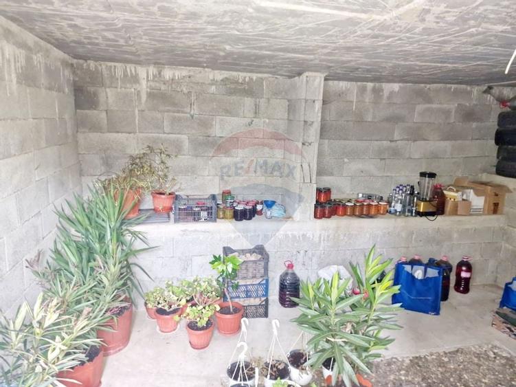 Casă / Vilă la munte - 20