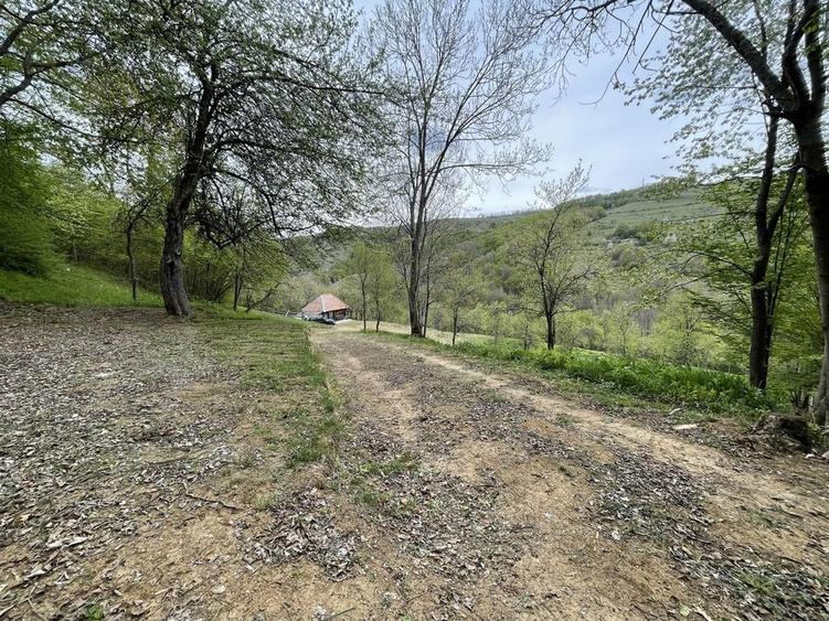 Casa ,livada si padure in com batrana jud hunedoara tinutul padurenilor - 5