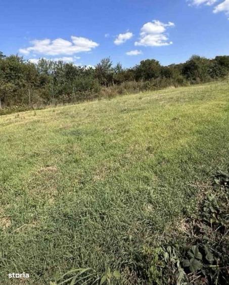 Sofimob Team/ Teren intravilan Oradea - 2