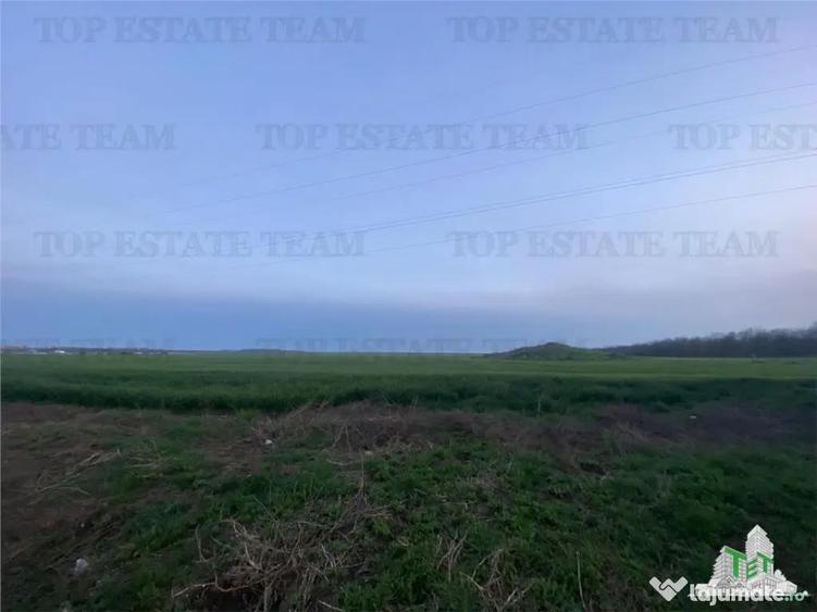 Teren intravilan 15000 mp Costinesti, Constanta - 2
