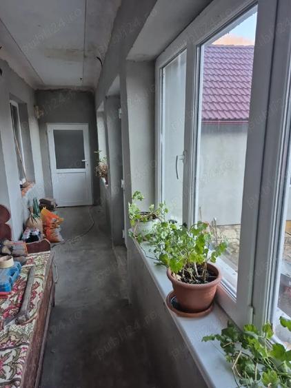 vind casa in telna - 5