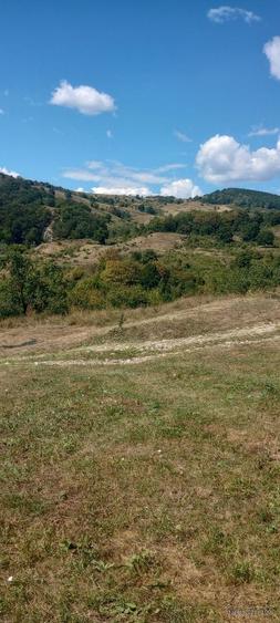 Teren de vinzare. In satul Rusavatul. - 6