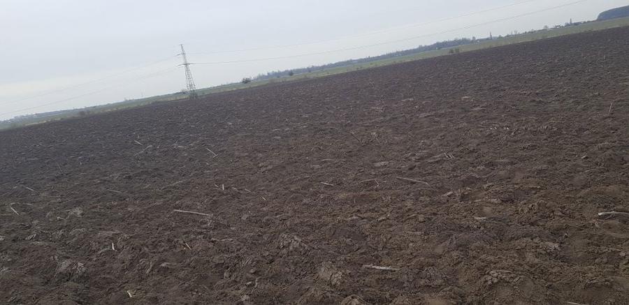 Teren de vanzare Soseaua Bucuresti - Magurele str malinului - 3