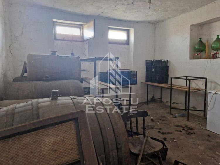 Casa individuala cu 3 camere ,teren 4222 mp in exclusivitate Dorobanti - 5