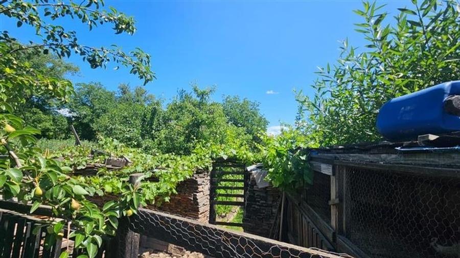 Casa clasica posibilitate extindere, Codlea, Brasov: Tur Virtual - 10