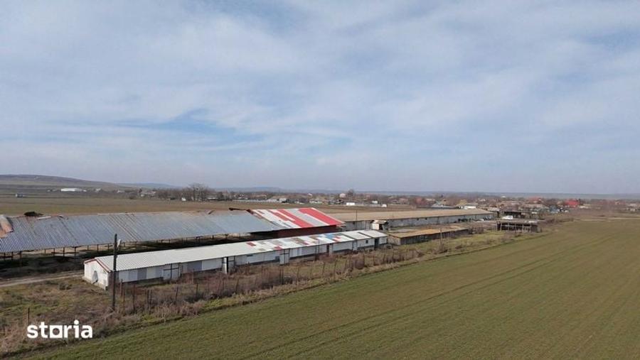 VAND sau INCHIRIEZ FERMA in Salcioara, judet Tulcea - 6