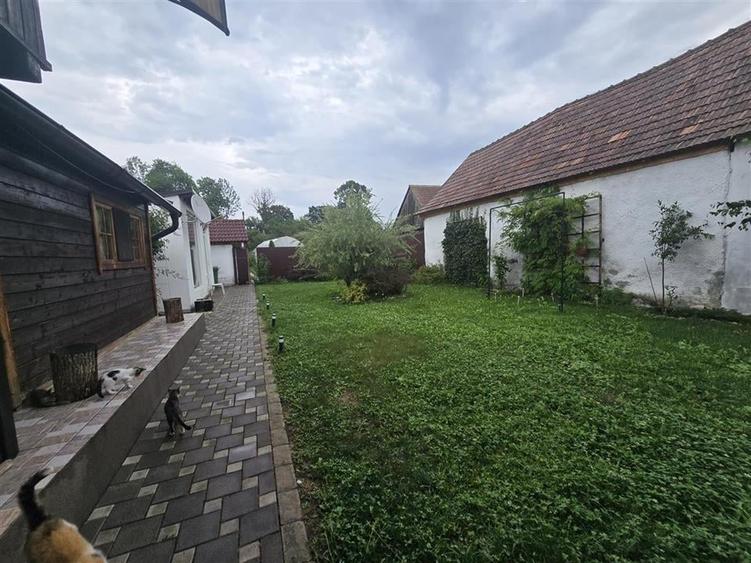 Casa De Lux  in Sinca Veche - 26