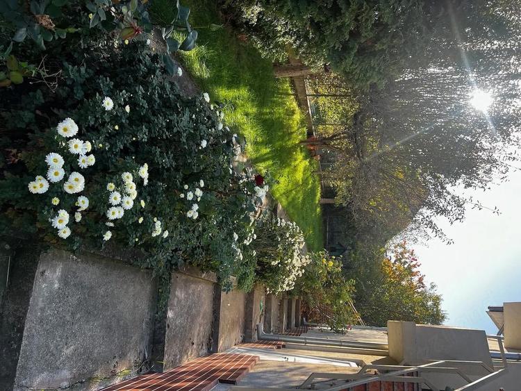 Vand vila pitesti - 6