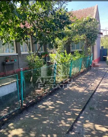 DE VANZARE casa solida LA 30 km de Timisoara - 1
