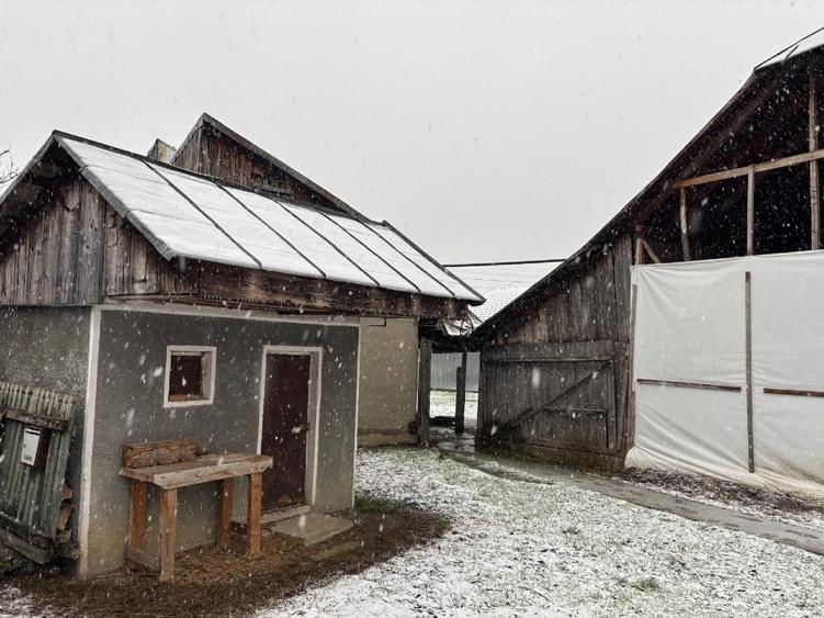 Vand gospodarie taraneasca traditionala - 2