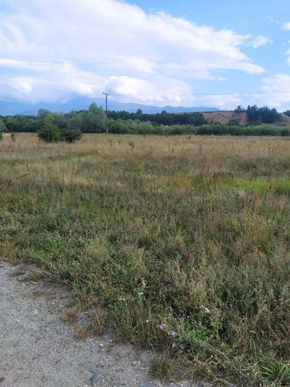 Vand teren pe Valea Avrigului - 4