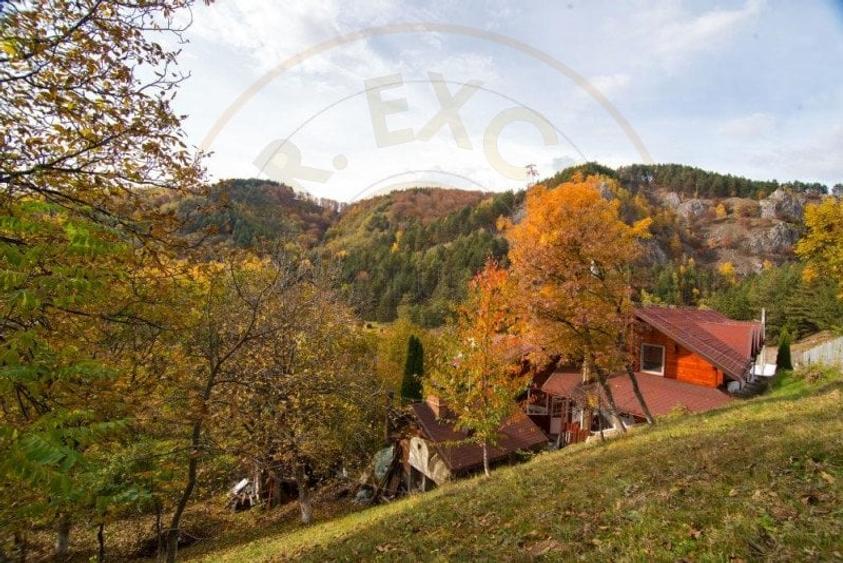 VANZARE / SCHIMB  PENSIUNE in zona de munte, langa Pestera Muierilor - 4