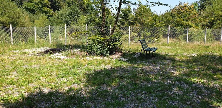 Teren rezidential Bunloc zona de case - 2