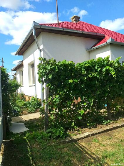 Casa si gradina Petre?ti - 9