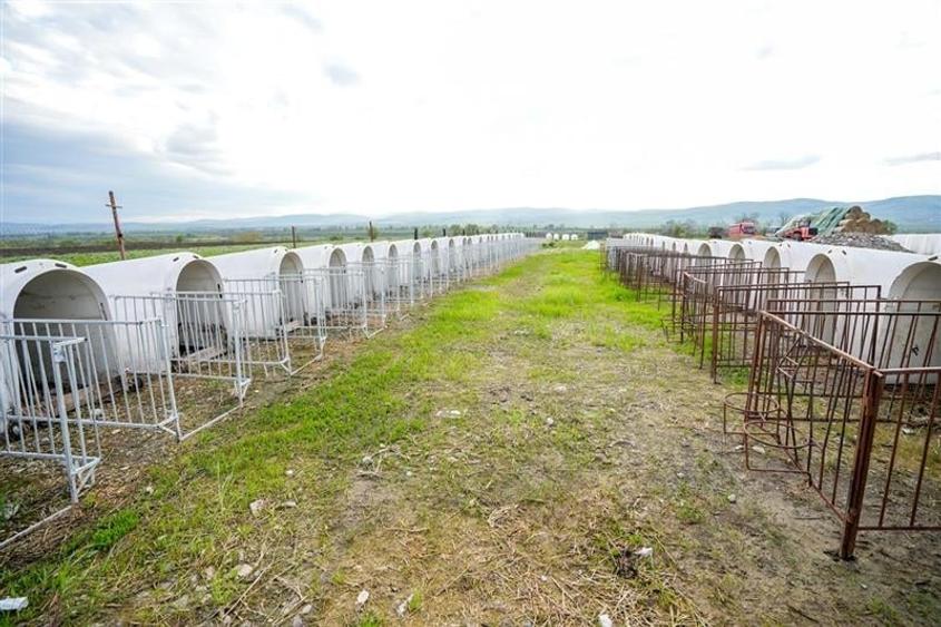 Film&Tur! Domeniu pe 222.000mp+ Ferma +Anexe specifice+Constructie+
rezidential - 53