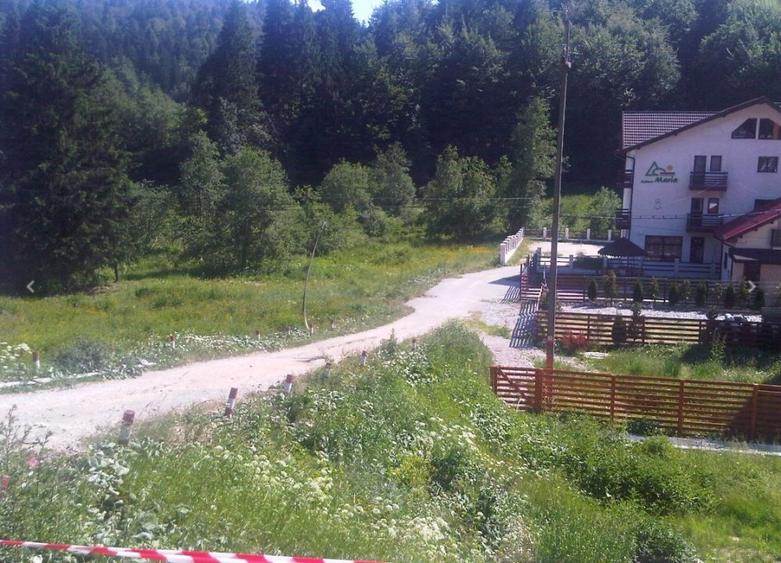 Teren zona Cheile Rasnoavei, Judet Brasov - 4