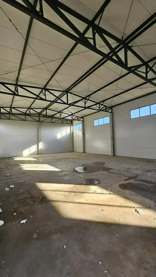 Hale Noi De Inchiriat | Chitila | Iesire direct In Centura - 1