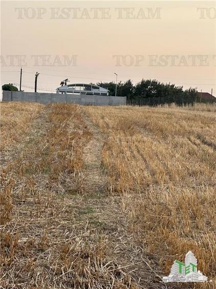 TEREN 2500MP BALACEANCA - 5