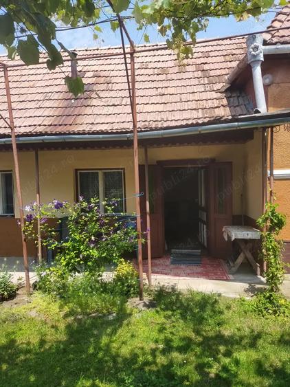 Vand casa Ru?ii Munti - 8