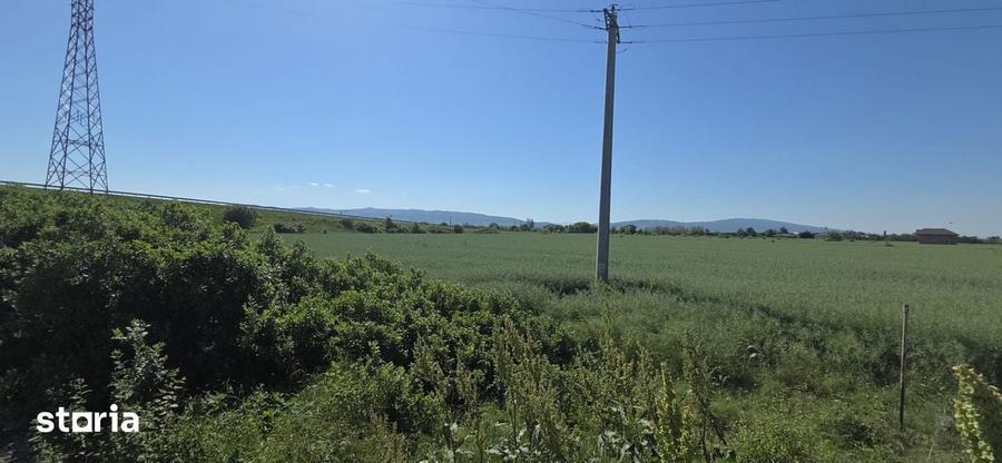 Teren intravilan de vanzare, Sos. Vrancei 5255 MP - 3