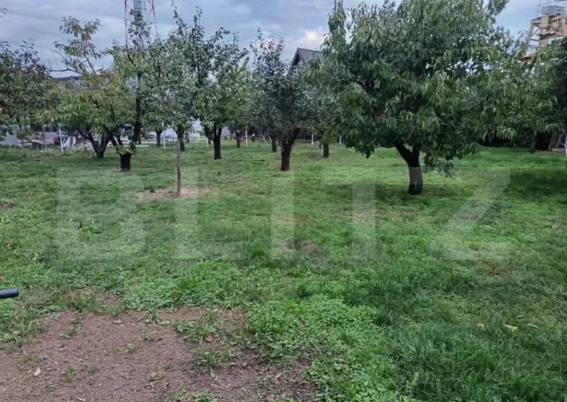 Teren Intravilan Centru Paulesti, parcelabil ,potential enor - 4