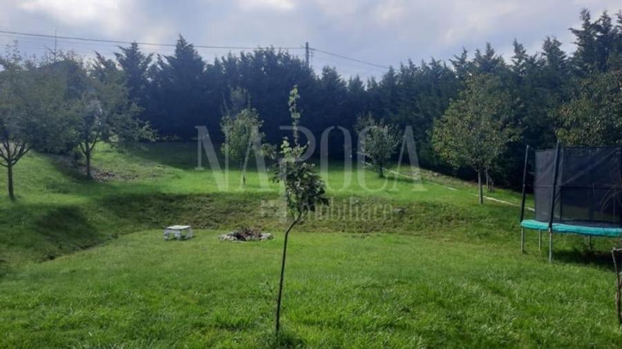 Casa 4 camere de vanzare in Salicea - 5