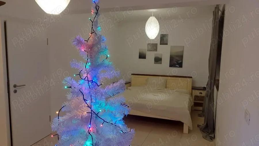 Casa 4 camere- complet mobilata incalzire pardosea-Bogdanestilor - 10