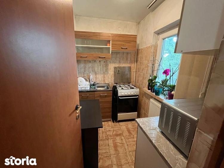 Garsoniera Lapus Arges (zona frigorifer ) - 2