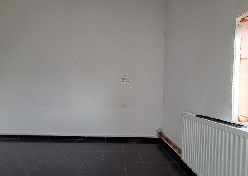 Spatiu comercial suprafete intre 130-87-217 mp zona Plevnei - 7