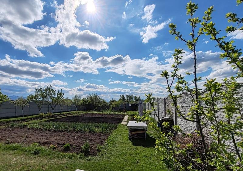 Teren  Harman intravilan  cu utilitati  ! - 1