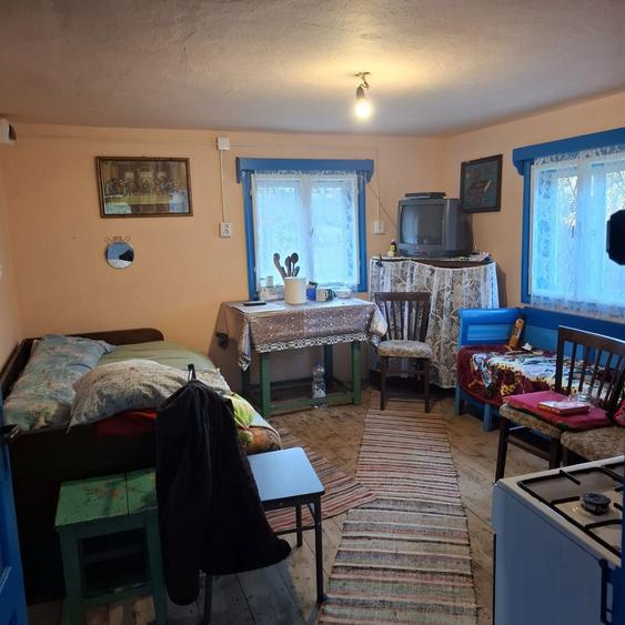 Casa de vanzare in satul Ponorel ,comuna Vidra,judetul Alba - 5