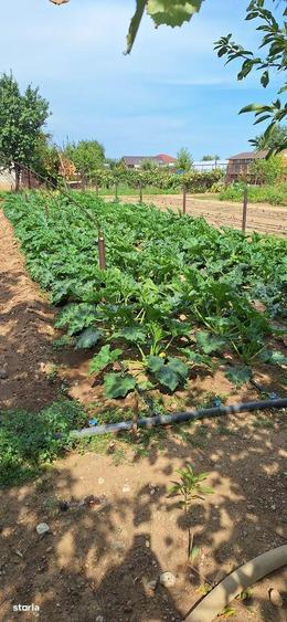 Urgent casa in Targoviste str.Sarbilor - 14