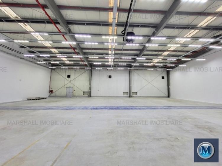 Spatiu industrial de vanzare in Aricestii Rahtivani #16443 - 4