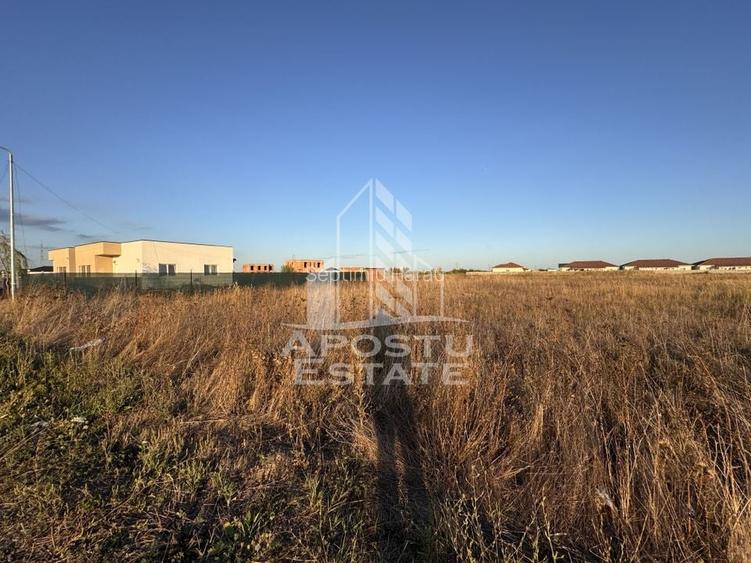 Teren Intravilan | 706mp | Front 16ml | Zona Mosnita Noua
