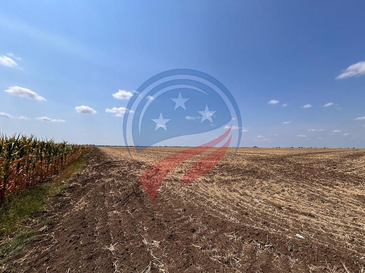 Teren intravilan de vanzare in Pielesti - 2