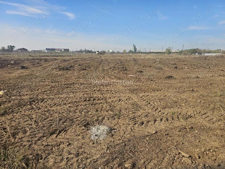 Teren intravilan 3600 mp Chiajna